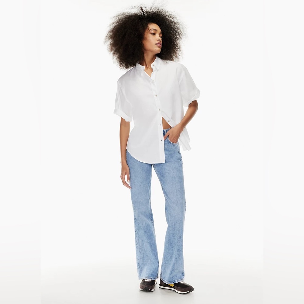 Aritzia Denim Forum The Marianne Mid Rise Loose Flare Jean